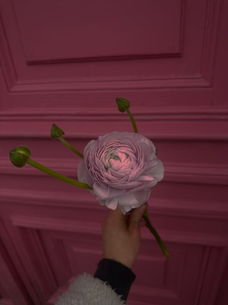 edited in tezza with: halation, shade, vignette, & haze